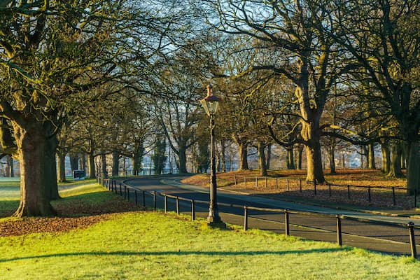 Phoenix Park Dublin