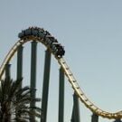 Safari58343850966 Avatar